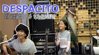 Video-Miniaturansicht von „Luis Fonsi - Despacito ft. Daddy Yankee (น้องเฟี้ยท Ft. ไก่ กะละมัง)“