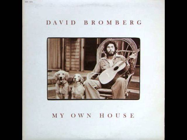 David Bromberg - Spanish Johnny