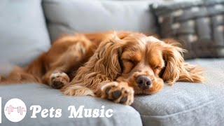 Soothing Music for Dog to Calm Down, Relax & Sleep | Dog Music Therapy Calming Aid for Relaxation