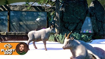 Planet Zoo Sandbox | Polar Park ❄️ | Ep. 7 Dall Sheep Enclosure | Speedbuild