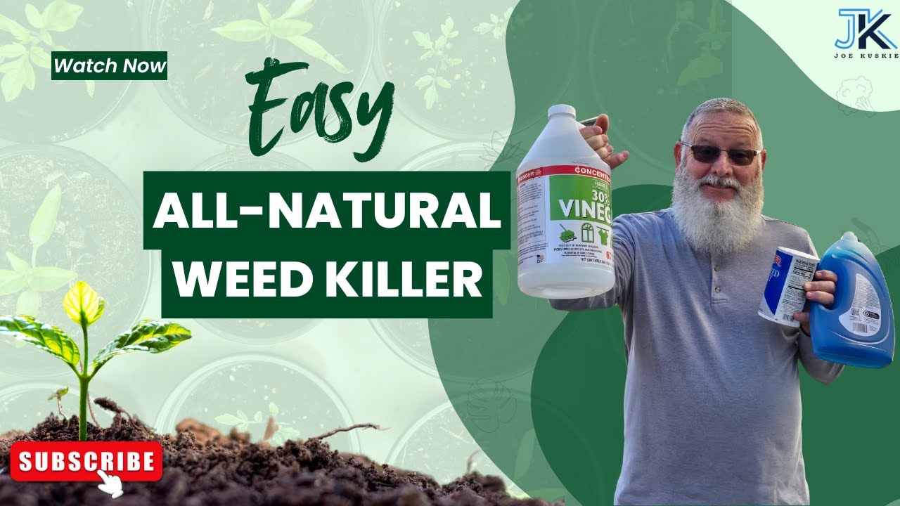 DIY Weed Killer with Vinegar, Salt & Soap – Easy & Effective! - YouTube