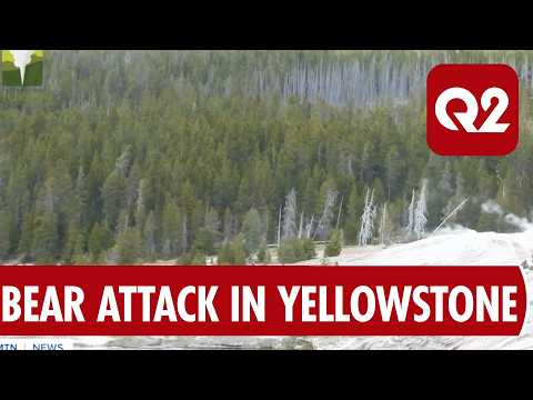 Yellowstone Hikers Injured by Grizzly Bears