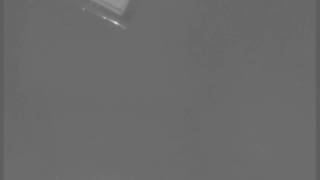 2005 Perseids