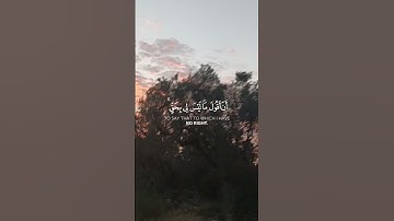 تلاوة خاشعة ومؤثرة للشيخ محمد الغزالي