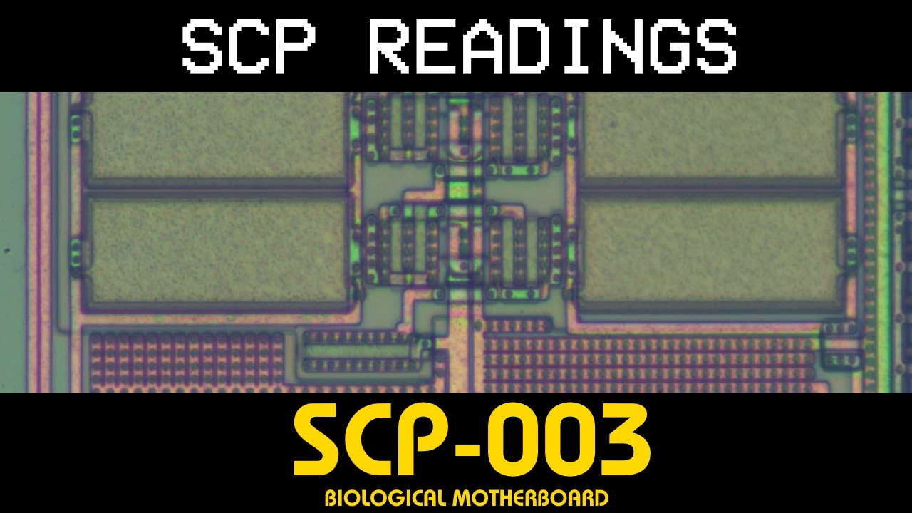 Stream episode SCP-003 - Biological Motherboard by The SCP
