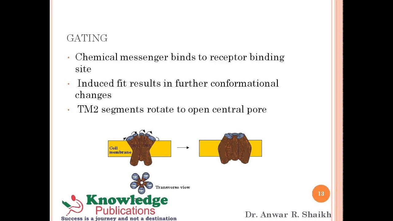 Receptors classification and mode of action - YouTube