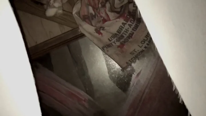 Main Street Manor 2019