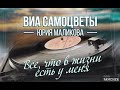 ВИА &quot;Самоцветы&quot; - Всё, что в жизни есть у меня (Official Audio)