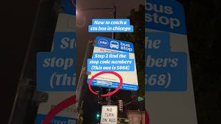 How to find and catch a bus in Chicago the right way #cta ￼
