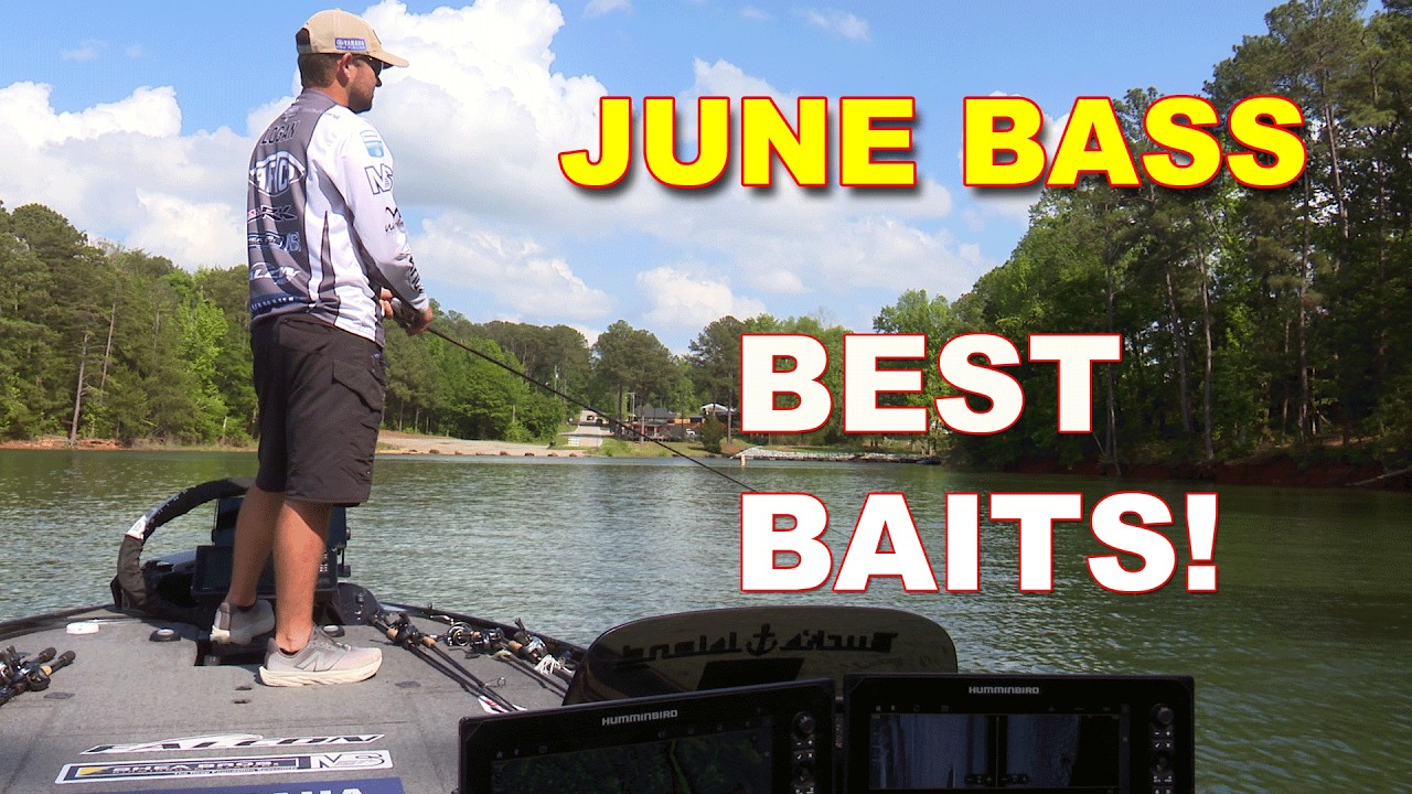 Catch More Bass This June with These 5 Proven Baits! | Bass Fishing