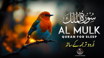 Surah Al-Mulk سورة الملك | Soothing Lofi Quran for Emotional Healing & Deep Sleep | #LofiQuran