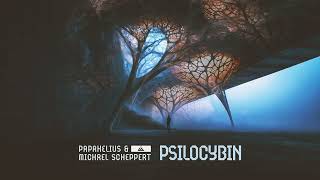 Michael Scheppert & PapaHelius - Psilocybin
