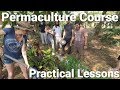 Permaculture Design Course Thailand Practical Lessons