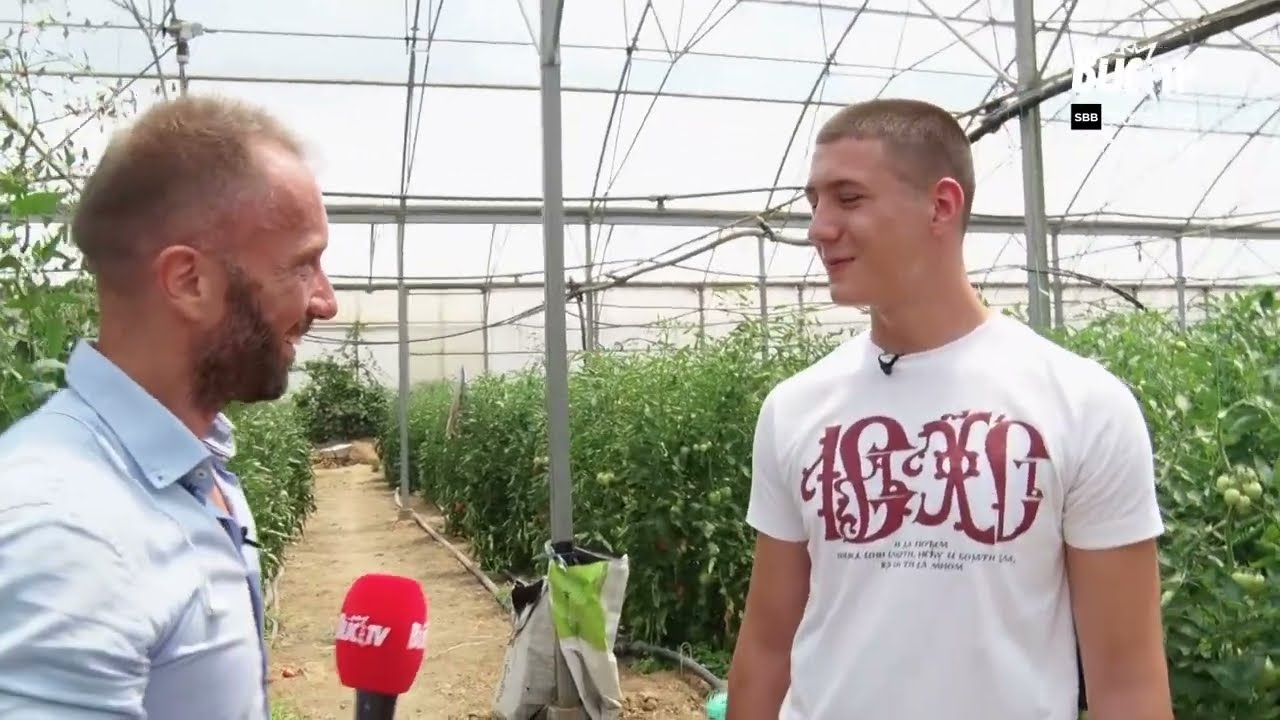 Posetili smo VIRALNOG PRODAVCA PARADAJZA! Ekipa emisije BLIC DAN u seli Počekovina kod Trstenika