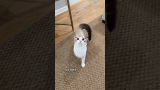 Would You Attend Kurt Garys Party?