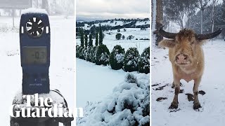 Snow in Queensland and swells in Sydney: wild weather lashes Australia’s east
