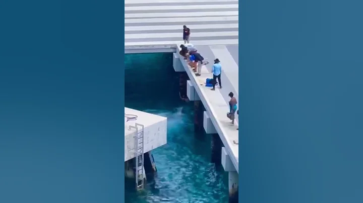 Man Falls off Cruise Ship! - DayDayNews