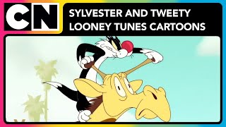 Sylvester and Tweety | Looney Tunes Cartoons | Cartoon Network Asia