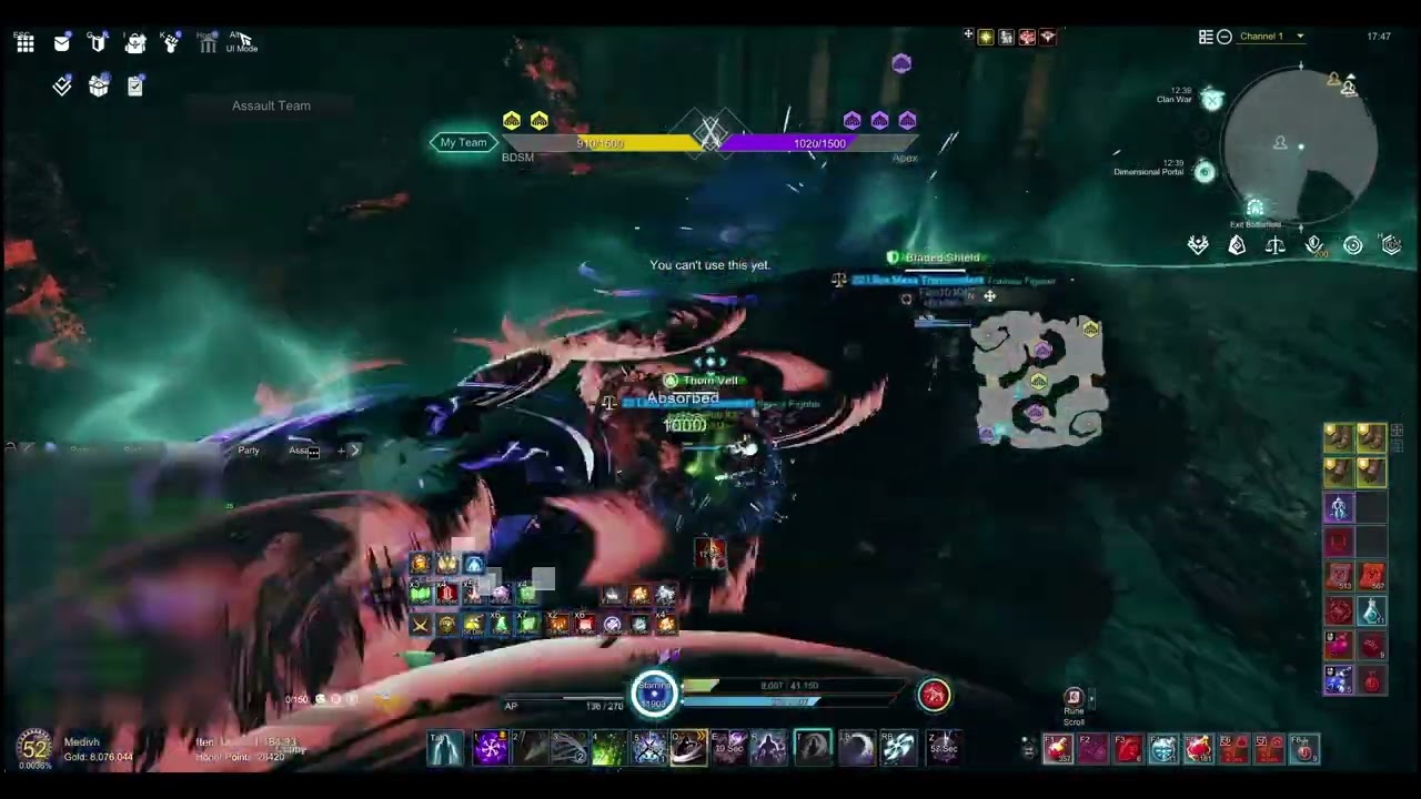 [Elyon] GvG on private server (Assassin's perspective)