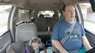 20160719 The Boorish Redundant Adventures of Stevo: 5