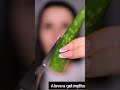 Aloe Vera Gel Myths You Need to Stop Believing! 🌿🚫