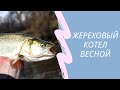 Жереховый котел весной.