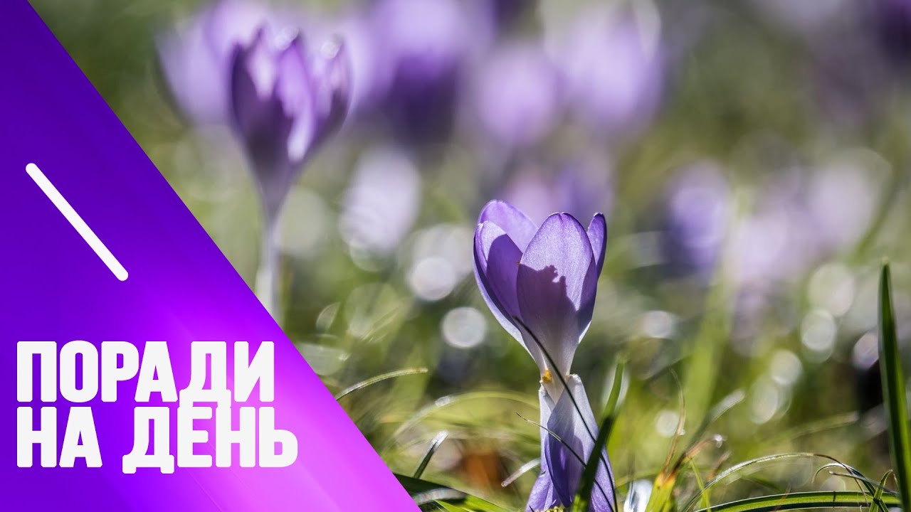 Поради від Марії Левченко на 5 квітня - YouTube