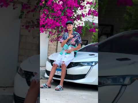 وحشاني حمو طيخا 2024 عصام صاصا حمو طيخا 