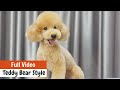 TEDDY BEAR STYLE FOR TOY POODLE Full Version With GROOMING TIPS | ASIAN CUTE DOGS