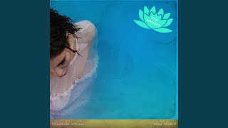 Somebody Special (Leon Lour Remix - Instrumental) - Nina Nesbitt