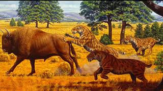 How Was The Homotherium ?