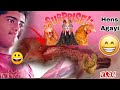 Me New Hens Le Aya. |Surprise| 🎉 ||Unique Birds Vlog||.