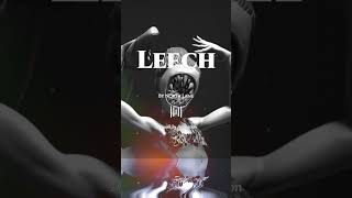 Leech  North Lane  leech northlane