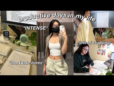 STUDY VLOG, productive college FINALS WEEK in my life