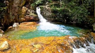 Most People Stop at Blue Hole Falls – We Kept Going…