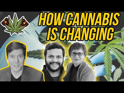Investing in the Cannabis Industry? Watch this. Arcview Group Raising Capital for Cannabis Business