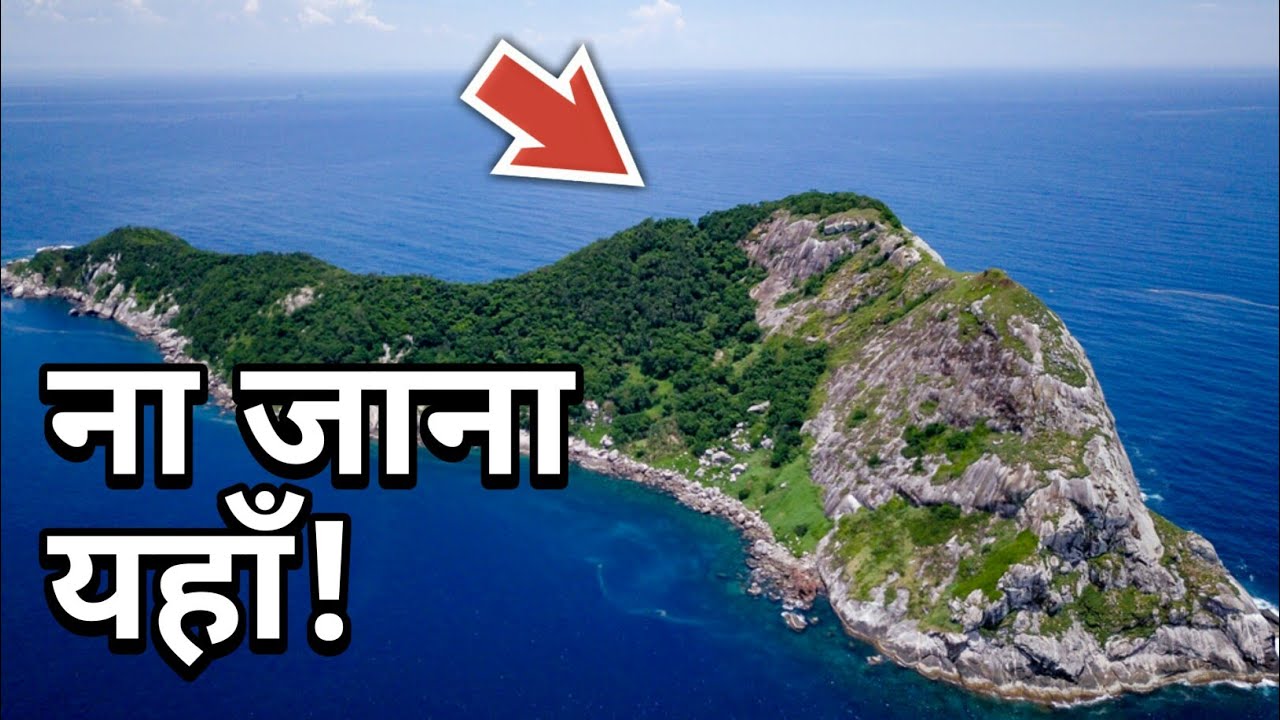 knowledge base Snake Island of Brazil । The Missing Mind