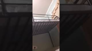 Content warning very graphic ( This video is not for the faint hearted )