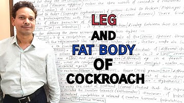 Leg and Fat Body of Cockroach(Periplaneta) | For  IAS,NEET,GATE,NET and BSc