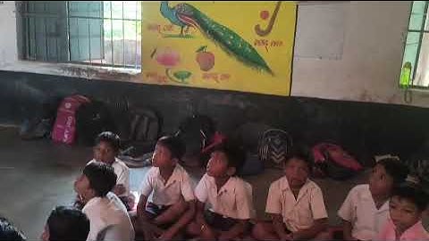 IGNOU DECE PROJECT, PHASE 3, (ACTIVITY-14) The Colour Song 🌈🎨🖍️