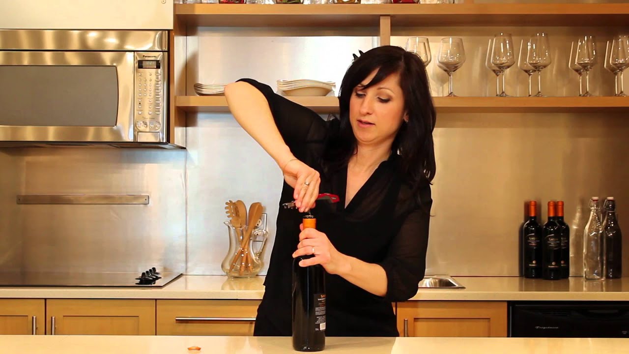 Trudeau Turbo Double Lever Corkscrew YouTube