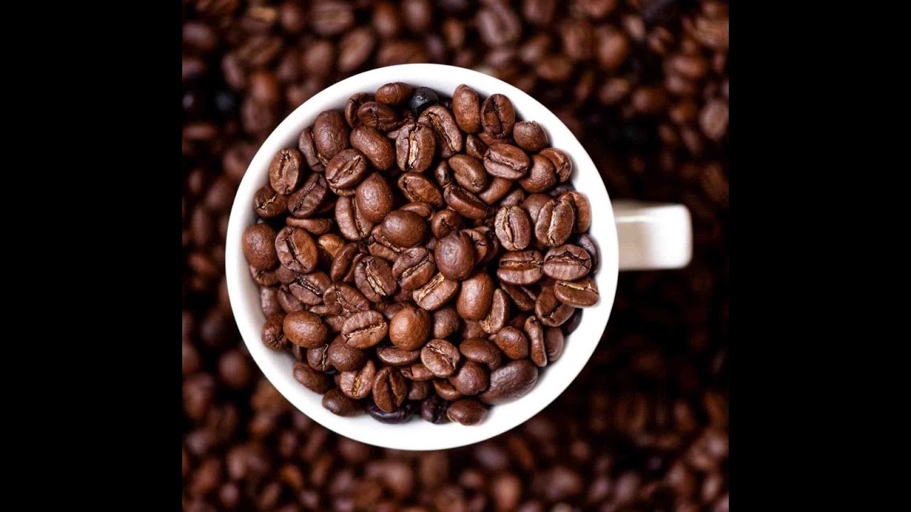 Choosing The Best Kimbo Coffee For Authentic Italian Taste YouTube