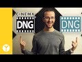 CinemaDNG vs DNG Stills - DJI Inspire 2 and Zenmuse X7