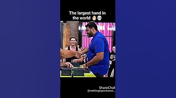 Thumbnail of The Largest Hand in The World