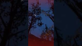 NEW Shrek Horror Game - Trailer #shorts
Get Nightmare Swamp:
- Itch.io: https://sdalt.itch.io/nightmare-swamp
- Gamejolt: https://gamejolt.com/games/nightmare-swamp/738886
#shorts
#nightmare
#shrek NEW Shrek Horror Game - Trailer #shorts