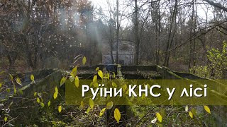 Руїни КНС посеред лісу