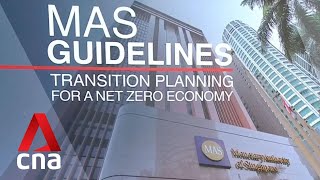 MAS proposes guidelines for financial institutions on transition planning for a net-zero economy