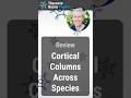 Summary - Cortical Columns Across Species #neuroscience