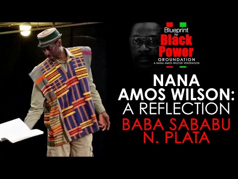 ⁣Nana Amos Wilson • A Reflection w/ Baba Sababu N Plata