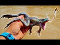 Giant Frogs for Bait Catch Monster Fish!